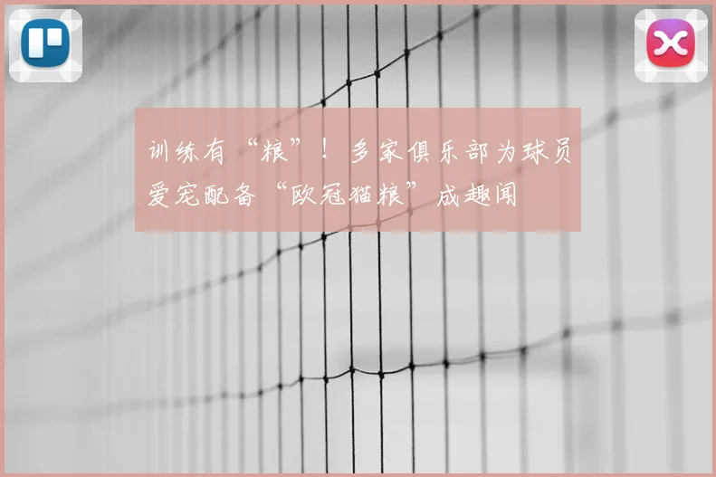 训练有“粮”!多家俱乐部为球员爱宠配备“欧冠猫粮”成趣闻