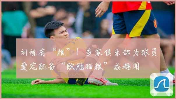 训练有“粮”！多家俱乐部为球员爱宠配备“欧冠猫粮”成趣闻