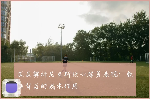 深度解析尼克斯核心球员表现：数据背后的战术作用