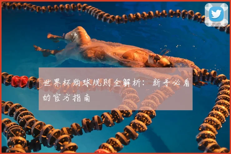 世界杯购球规则全解析:新手必看的官方指南
