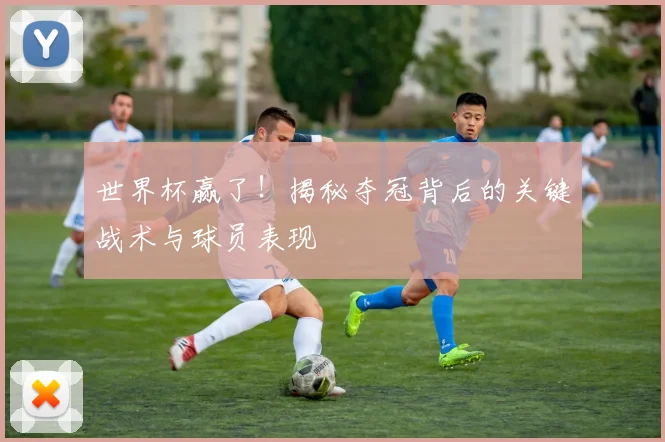 世界杯赢了！揭秘夺冠背后的关键战术与球员表现