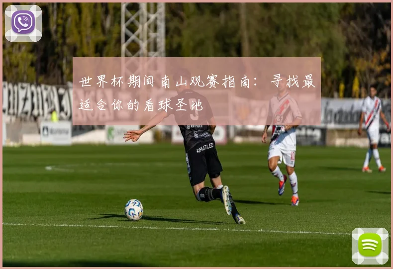 世界杯期间南山观赛指南：寻找最适合你的看球圣地