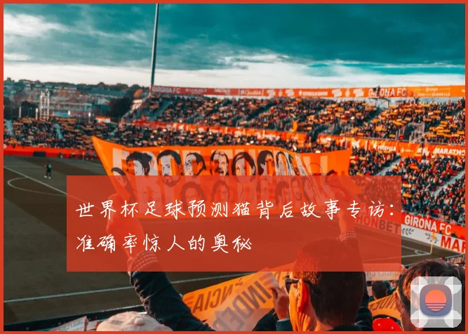 世界杯足球预测猫背后故事专访：准确率惊人的奥秘
