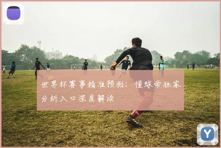 世界杯赛事精准预测：懂球帝独家分析入口深度解读