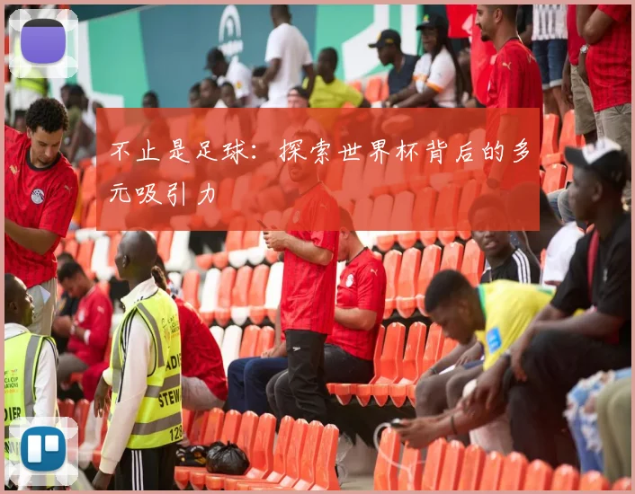 不止是足球：探索世界杯背后的多元吸引力
