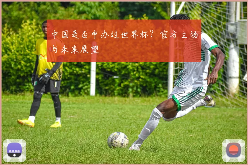 中国是否申办过世界杯？官方立场与未来展望